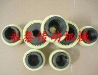 NL Nylon tooth coupling